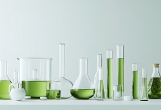 世界の基準を、日本にも